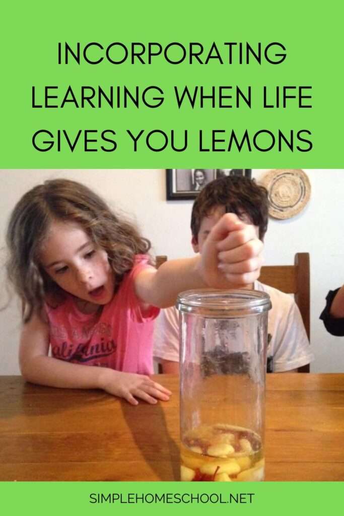 Incorporating learning 