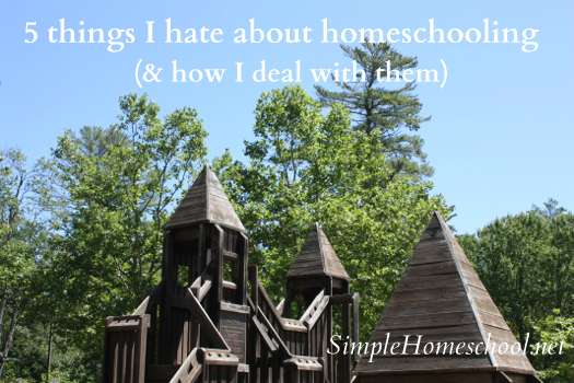 5 things I hate about homeschooling (& how I deal with them)