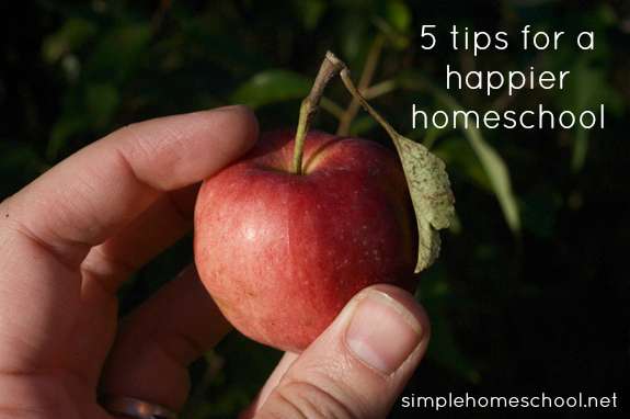 5 tips for a happier homeschool