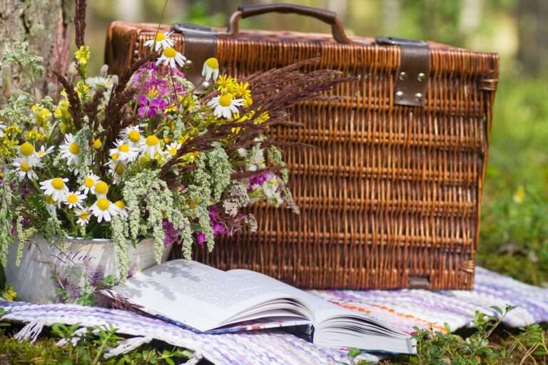 Weekend homeschool links: May 31st