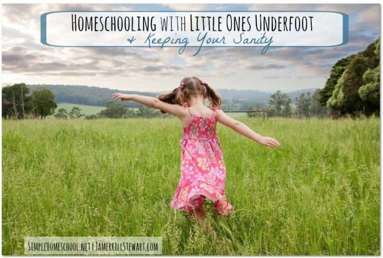 Homeschooling with little ones underfoot (& keeping your sanity)