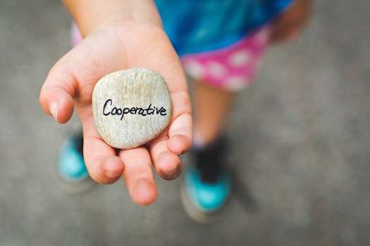 A simple guide to finding a homeschool co-op that fits