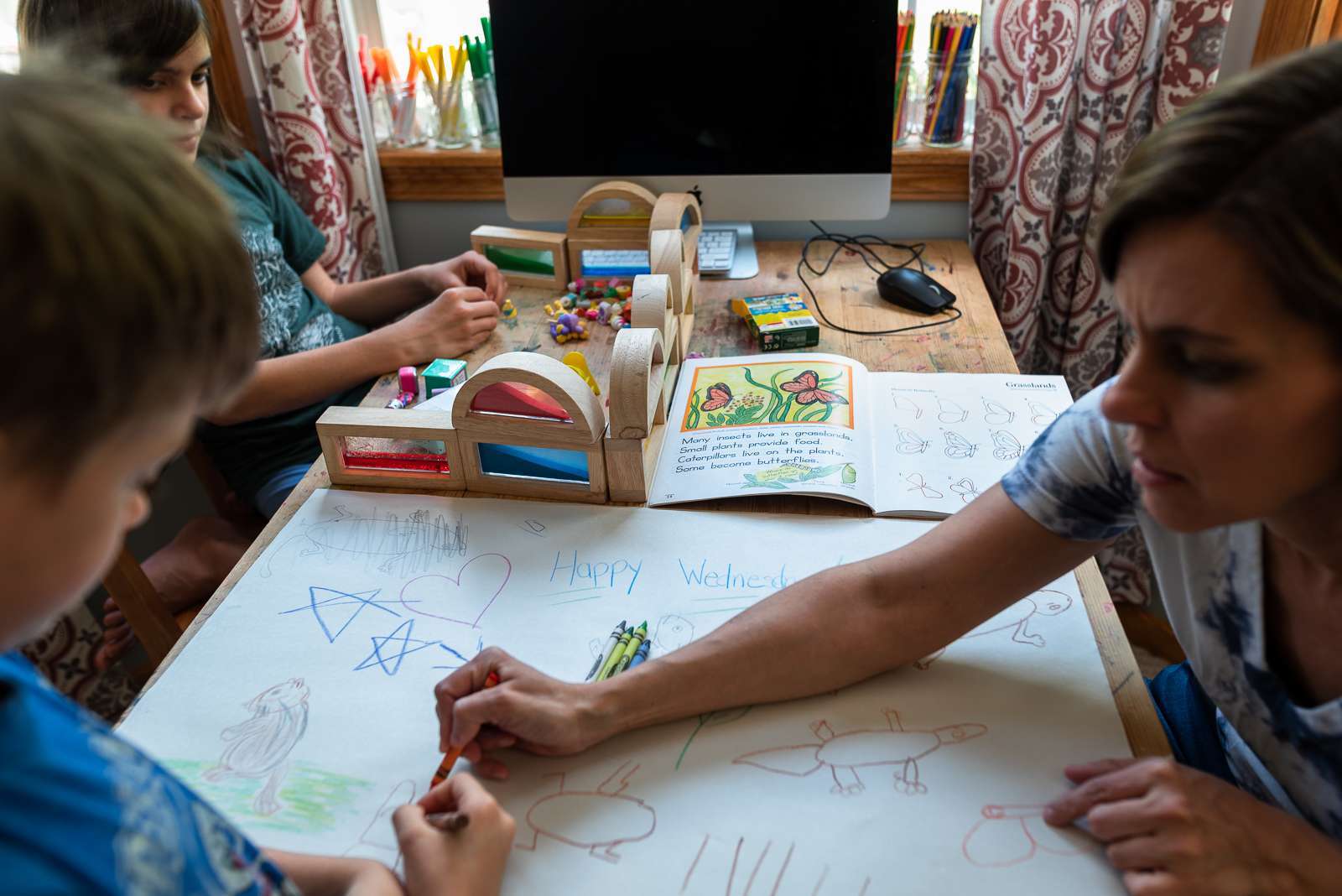 Homeschooling a Twice Exceptional Child? What You Should Know...