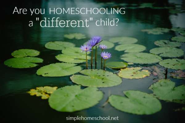 Are you homeschooling a “different” child?