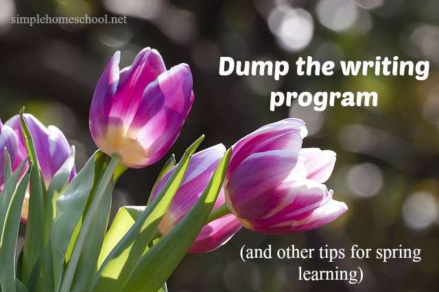 Dump the writing program (&other tips for spring learning)
