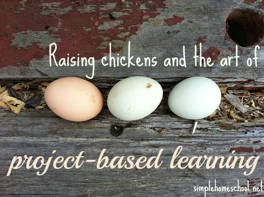 Raising chickens and the art of project-based learning