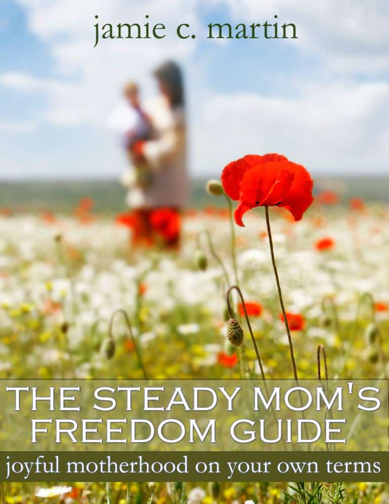 The Steady Mom’s Freedom Guide