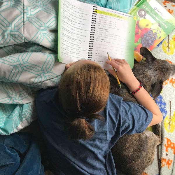 Kris’s homeschool day in the life (with a 17-, 19- and 23-year-old )