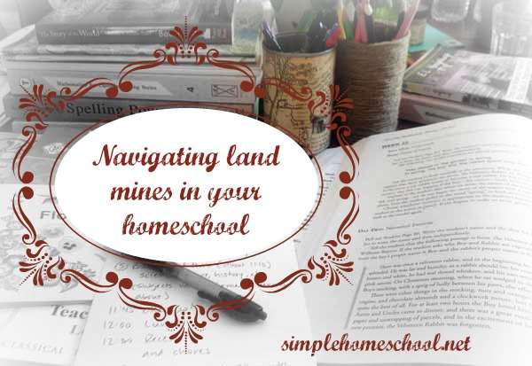 Navigating the land mines of the homeschool day