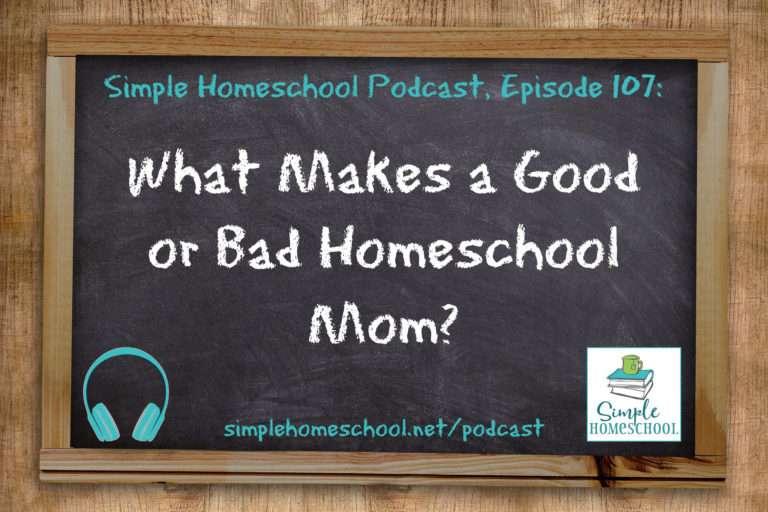 SH #107: What Makes a GOOD or BAD Homeschool Mom?