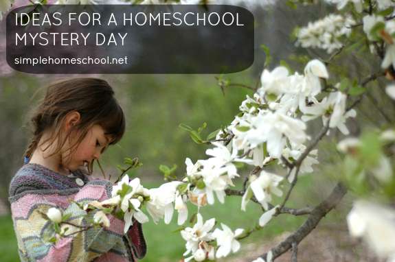 Ideas for a homeschool mystery day