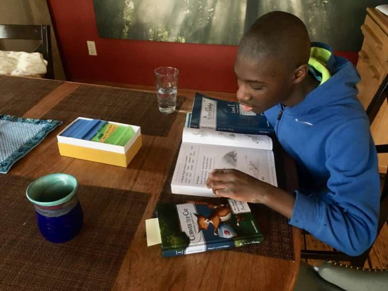 My personal experience using All About Reading with an older child