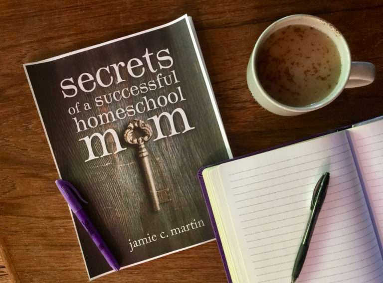 Get your (FREE!) ebook: Secrets of a Successful Homeschool Mom