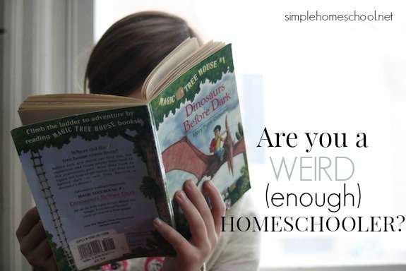 Are you a weird (enough) homeschooler?