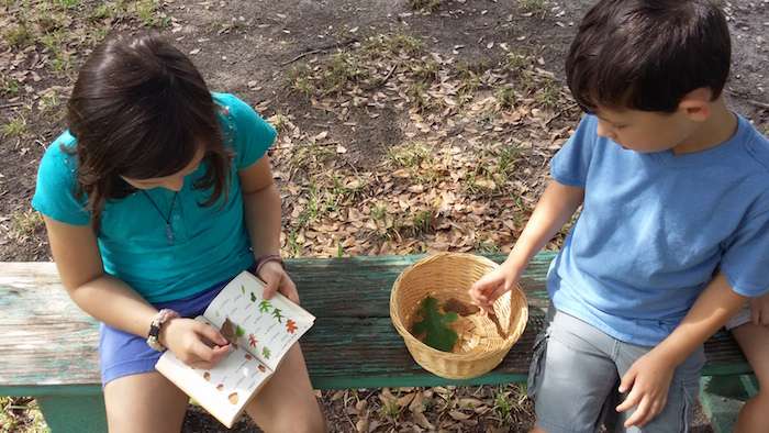 Giveaway: $450+ FULL curriculum package from Oak Meadow