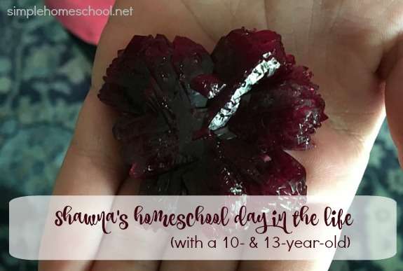 Shawna's homeschool day in the life (with a 10- & 13-year-old)