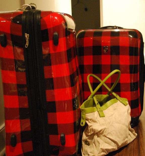 Pack your bags: Tips for family travel this summer