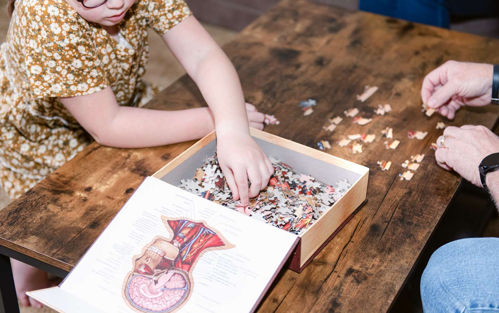 Learning to Follow My Child’s Lead in Our Homeschool