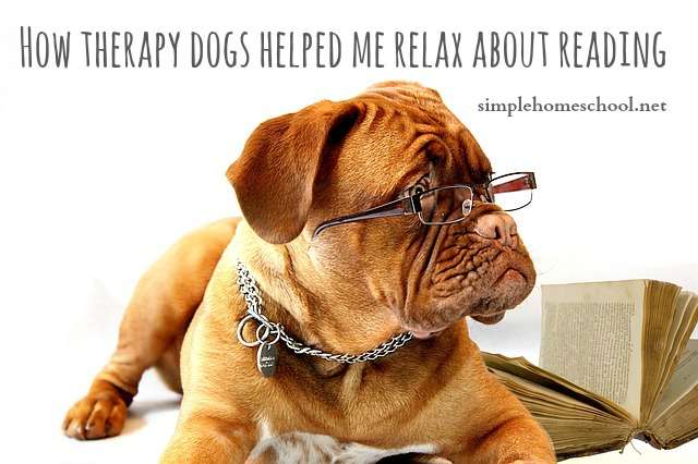 How therapy dogs helped me relax about reading