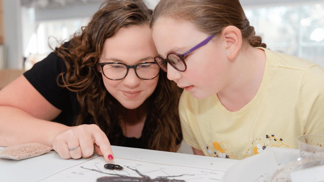 Homeschooling Without Textbooks