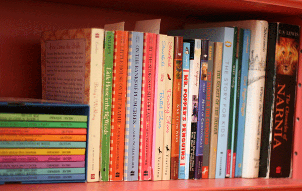 bookshelves-wilder