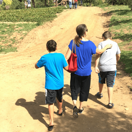 When Homeschooling Ends