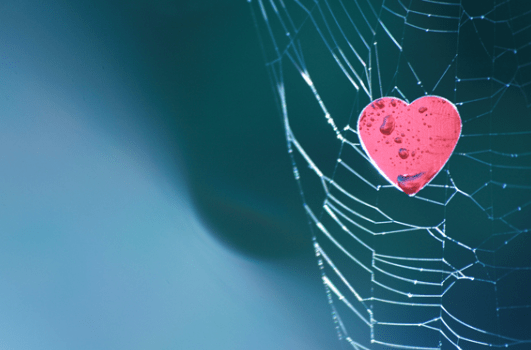 At the heart of homeschooling
