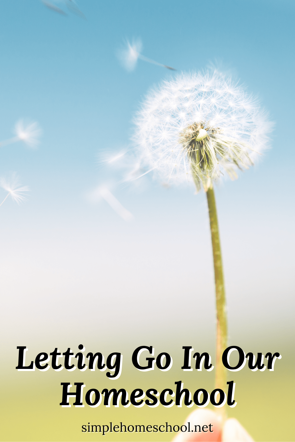 Letting Go in Homeschool