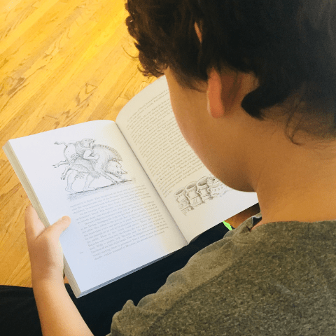 Literature and Learning Differences: The Power of Story Shawna Wingert, Not The Former Things