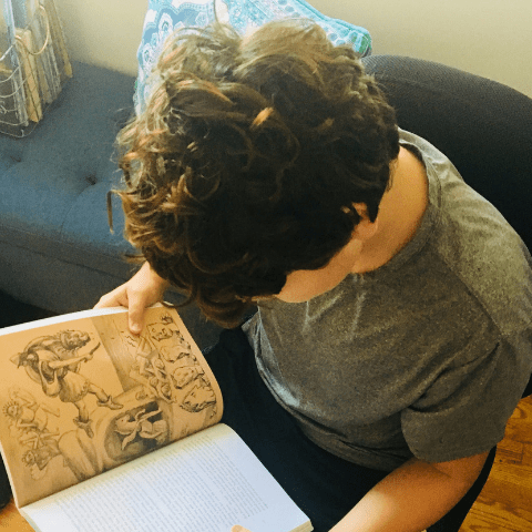Literature and Learning Differences: The Power of Story Shawna Wingert, Not The Former Things