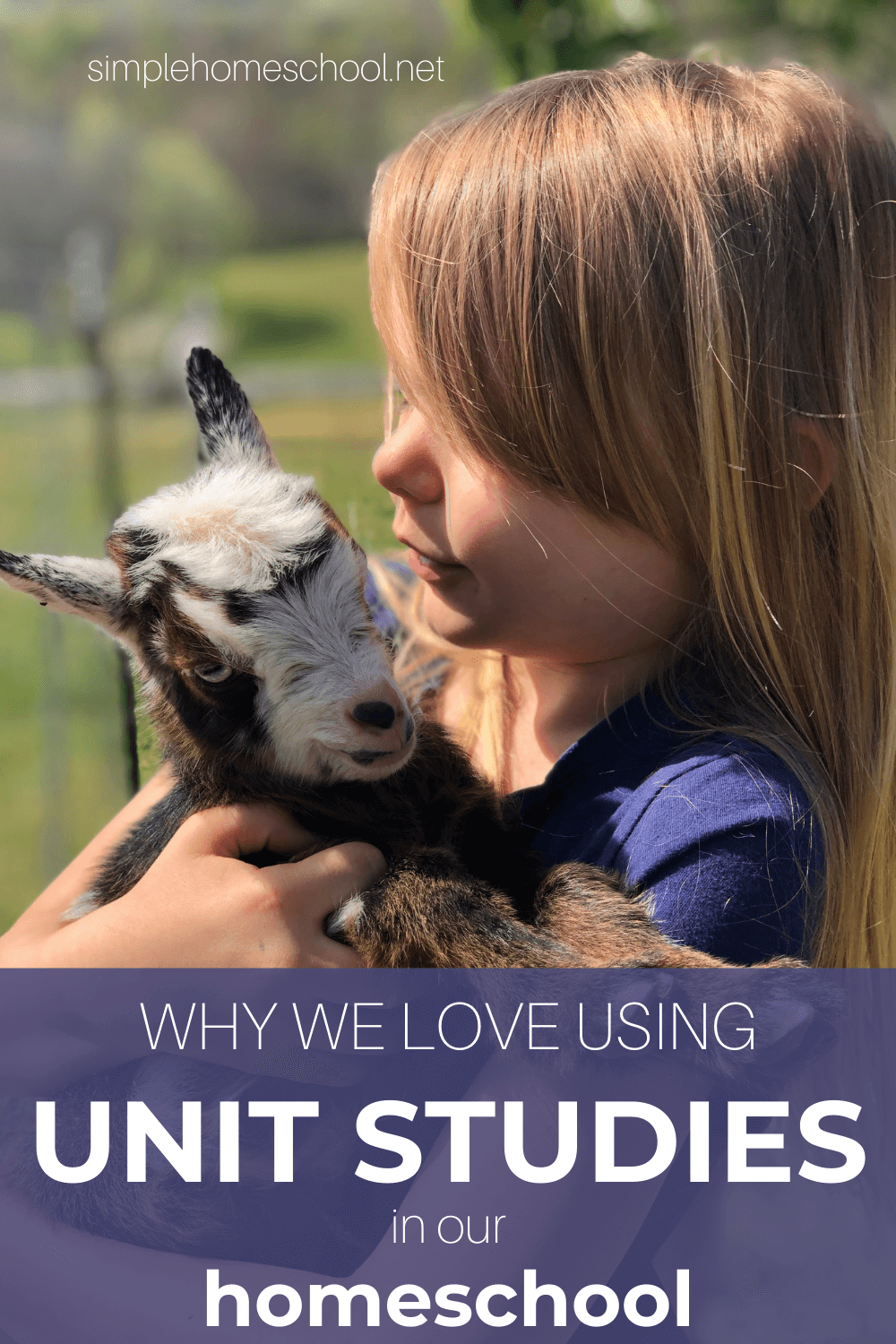 Why We Love Using Unit Studies In Our Homeschool: Whether my children are interested in geography, science, history, or anything in between, unit studies help us dive deeply into their interests. Unit studies offer a way for dynamic and engaging learning that is curated specially for my kiddo's unique needs. #homeschoolunitstudy #unitstudy #unitstudies