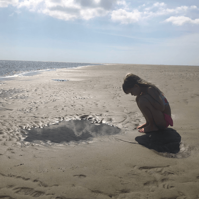 4 Reasons Why We Love Using Unit Studies In Our Homeschool